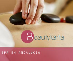 Spa en Andalucía Spa en Andalucía