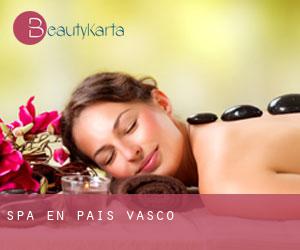 Spa en País Vasco Spa en País Vasco