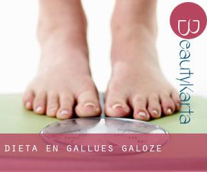Dieta en Gallués / Galoze