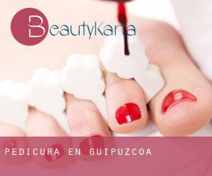 Pedicura en Guipúzcoa