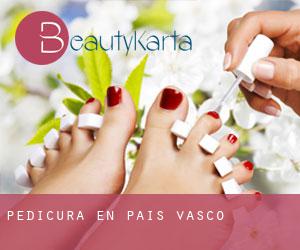 Pedicura en País Vasco