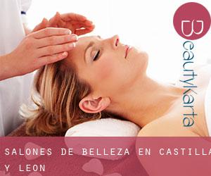 salones de belleza en Castilla y León